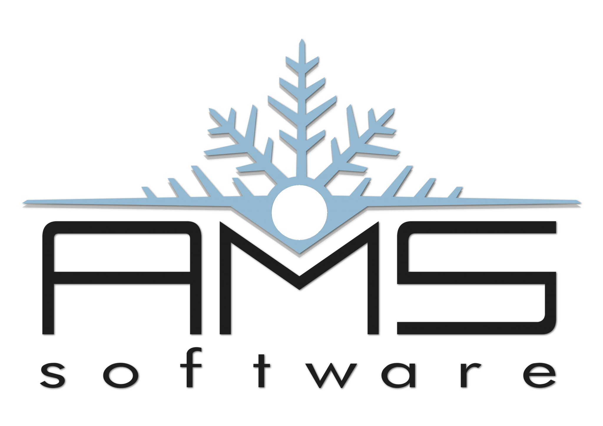 AMS Software – Créateurs de Logiciels Professionnels